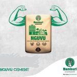 Nguvu Cement